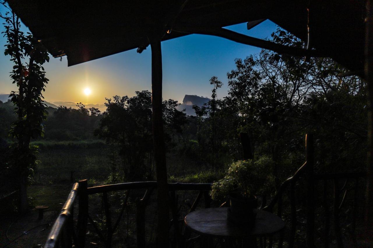 Sigiriya Rock Gate Tree House Hotel Buitenkant foto