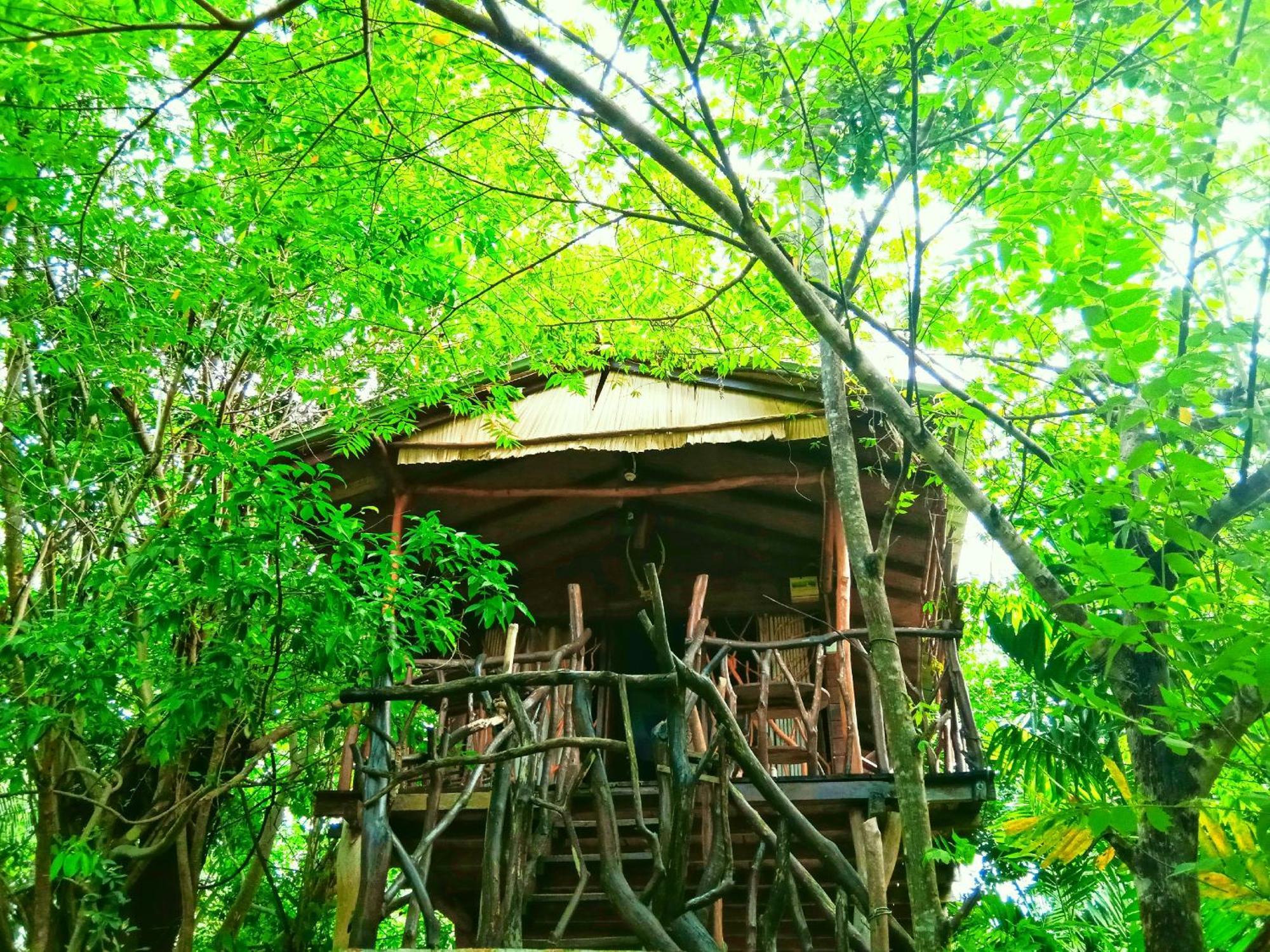 Sigiriya Rock Gate Tree House Hotel Buitenkant foto