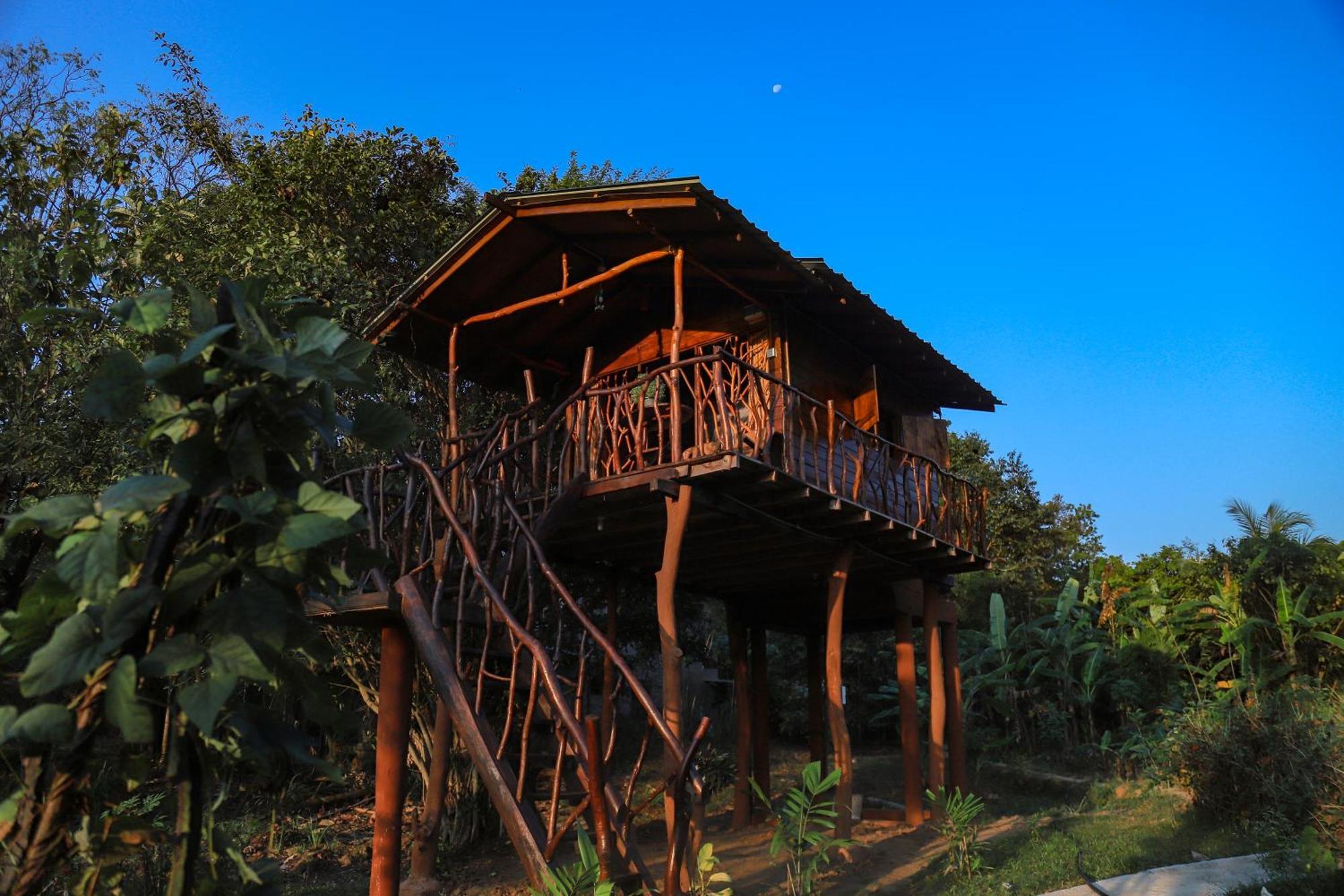 Sigiriya Rock Gate Tree House Hotel Buitenkant foto