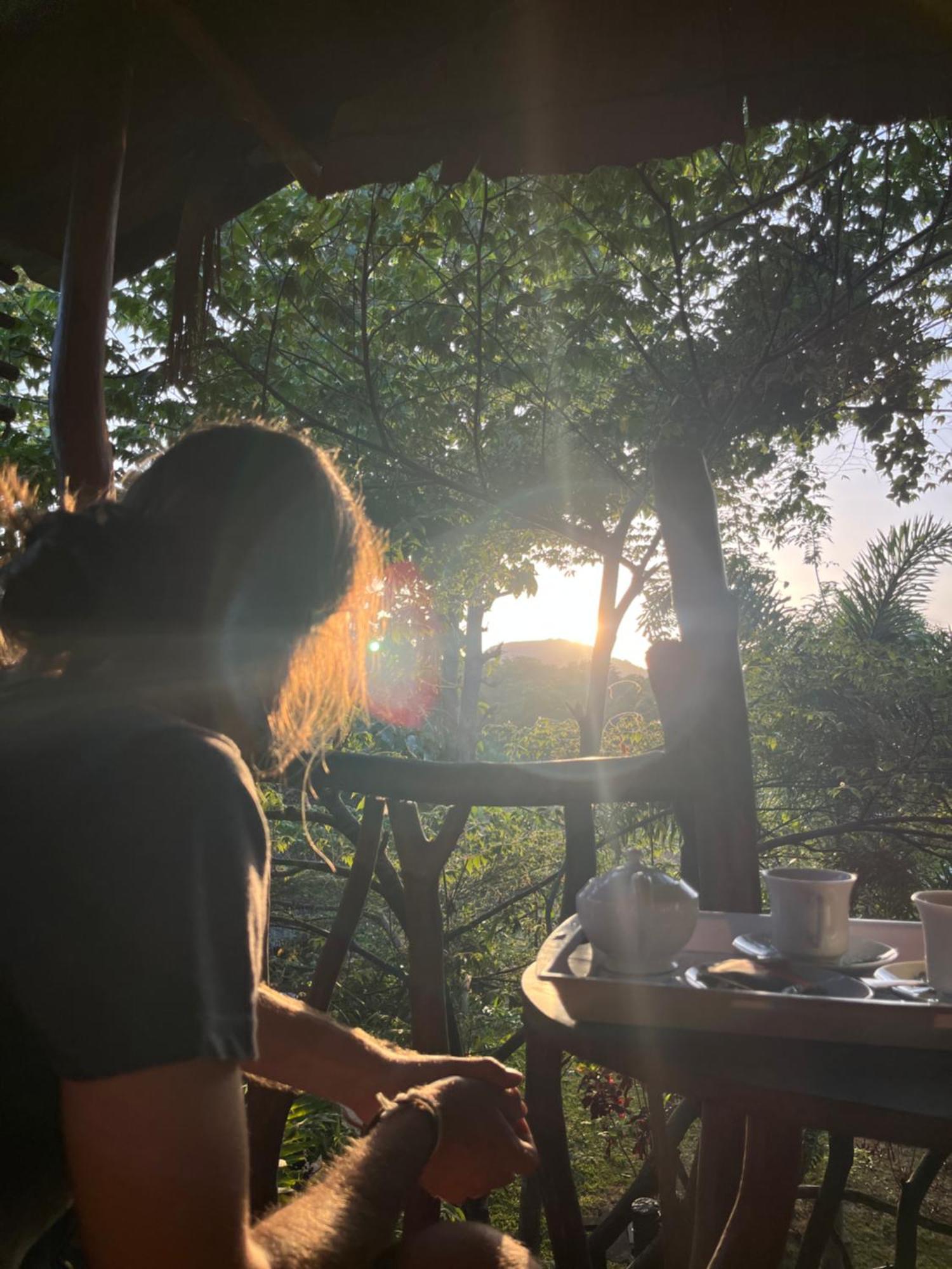 Sigiriya Rock Gate Tree House Hotel Kamer foto
